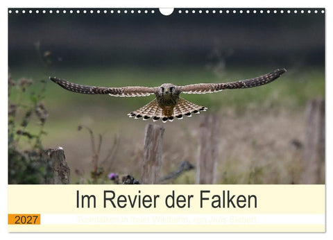 Im Revier der Falken (Wandkalender 2027 DIN A3 quer), CALVENDO Monatskalender