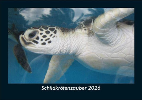 Schildkrötenzauber 2026 Fotokalender DIN A5