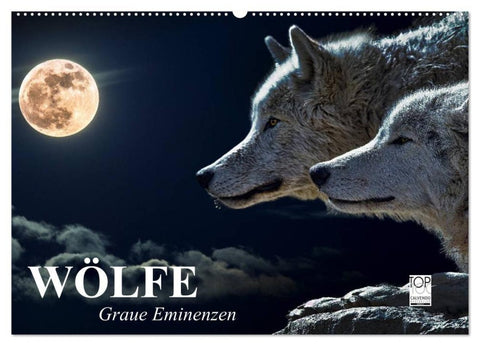 Wölfe. Graue Eminenzen (Wandkalender 2027 DIN A2 quer), CALVENDO Monatskalender