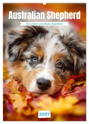 Australian Shepherd (Wandkalender 2027 DIN A2 hoch), CALVENDO Monatskalender