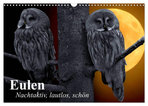 Eulen. Nachtaktiv, lautlos, schön (Wandkalender 2026 DIN A3 quer), CALVENDO Monatskalender