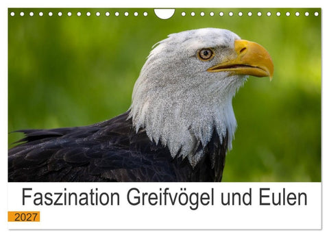 Faszination Greifvögel und Eulen (Wandkalender 2027 DIN A4 quer), CALVENDO Monatskalender