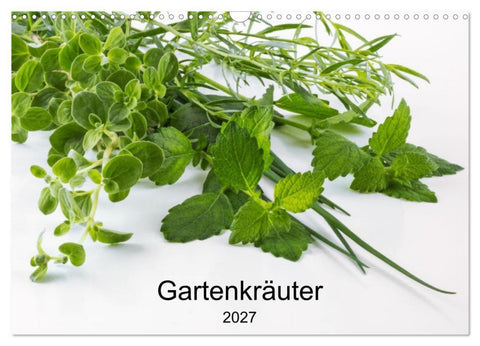 Gartenkräuter (Wandkalender 2027 DIN A3 quer), CALVENDO Monatskalender