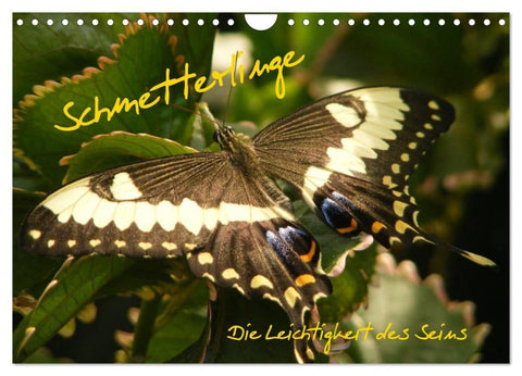 Schmetterlinge (Wandkalender 2027 DIN A4 quer), CALVENDO Monatskalender