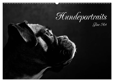 Hundeportraits Fine Art (Wandkalender 2027 DIN A2 quer), CALVENDO Monatskalender