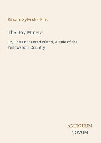 The Boy Miners