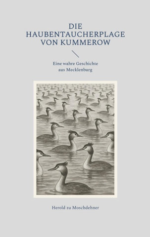 Die Haubentaucherplage von Kummerow