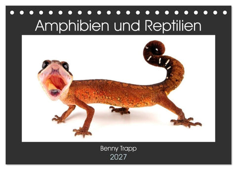 Amphibien und Reptilien (Tischkalender 2027 DIN A5 quer), CALVENDO Monatskalender