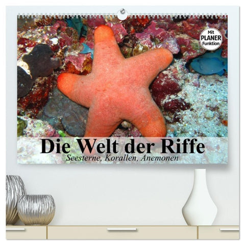 Die Welt der Riffe. Seesterne, Korallen, Anemonen (hochwertiger Premium Wandkalender 2026 DIN A2 quer), Kunstdruck in Hochglanz