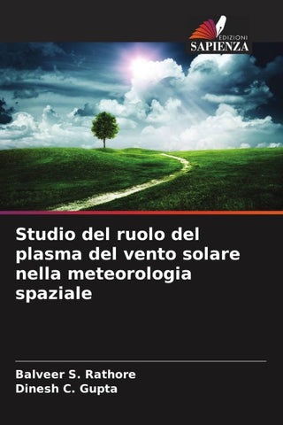 Studio del ruolo del plasma del vento solare nella meteorologia spaziale
