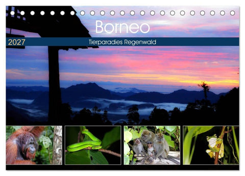 Borneo - Tierparadies Regenwald (Tischkalender 2027 DIN A5 quer), CALVENDO Monatskalender