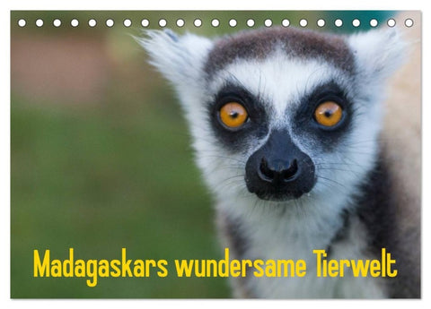 Madagaskars wundersame Tierwelt (Tischkalender 2027 DIN A5 quer), CALVENDO Monatskalender