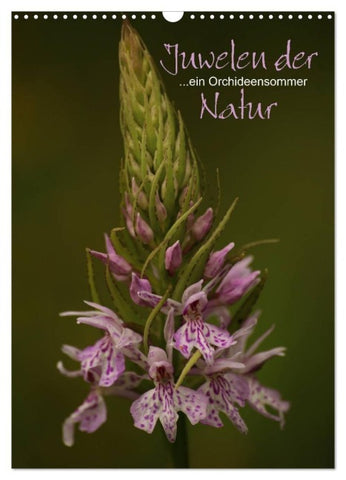 Juwelen der Natur - Ein Orchideensommer (Wandkalender 2027 DIN A3 hoch), CALVENDO Monatskalender