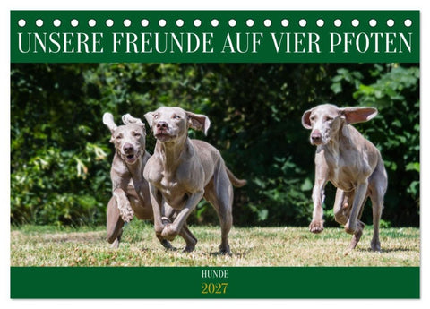 Unsere Freunde auf vier Pfoten - Hunde (Tischkalender 2027 DIN A5 quer), CALVENDO Monatskalender
