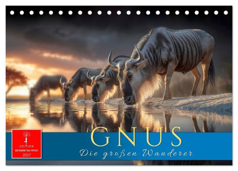 Gnus - die großen Wanderer (Tischkalender 2027 DIN A5 quer), CALVENDO Monatskalender