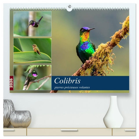 Colibris - pierres précieuses volantes  (Calendrier mural 2026 DIN A2 vertical) calendrier de bureau