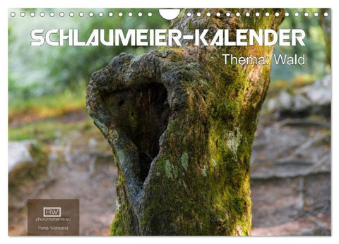 Schlaumeier-Kalender - Thema: Wald (Wandkalender 2027 DIN A4 quer), CALVENDO Monatskalender