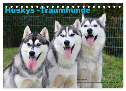 Huskys - Traumhunde (Tischkalender 2026 DIN A5 quer), CALVENDO Monatskalender
