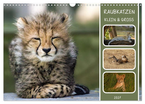 Raubkatzen - groß & klein (Wandkalender 2027 DIN A3 quer), CALVENDO Monatskalender