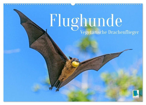 Flughunde: Vegetarische Drachenflieger (Wandkalender 2027 DIN A2 quer), CALVENDO Monatskalender