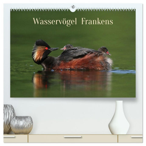 Wasservögel Frankens (hochwertiger Premium Wandkalender 2026 DIN A2 quer), Kunstdruck in Hochglanz