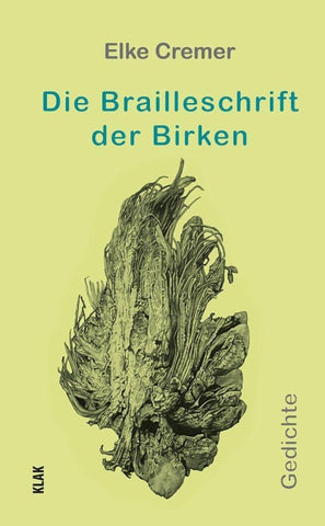 Die Brailleschrift der Birken