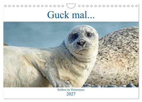 Guck mal... Robben im Wattenmeer (Wandkalender 2027 DIN A4 quer), CALVENDO Monatskalender