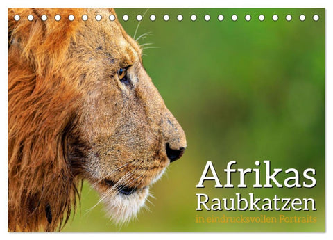 Afrikas Raubkatzen in eindrucksvollen Portraits (Tischkalender 2026 DIN A5 quer), CALVENDO Monatskalender