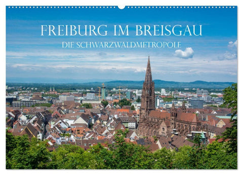 Freiburg im Breisgau - Die Schwarzwaldmetropole (Wandkalender 2026 DIN A2 quer), CALVENDO Monatskalender
