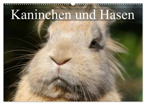 Kaninchen und Hasen (Wandkalender 2026 DIN A2 quer), CALVENDO Monatskalender