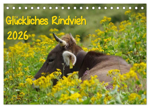 Glückliches Rindvieh 2026 (Tischkalender 2026 DIN A5 quer), CALVENDO Monatskalender
