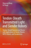 Tendon-Sheath Transmitted Light and Slender Robots