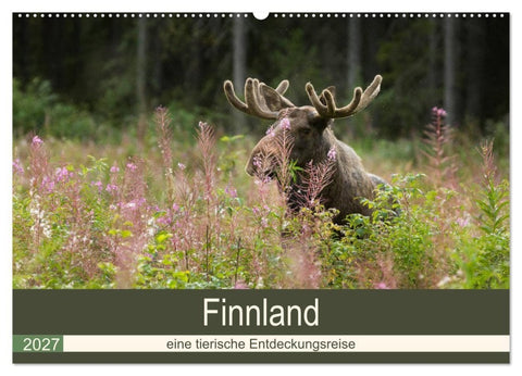Finnland: eine tierische Entdeckungsreise (Wandkalender 2027 DIN A2 quer), CALVENDO Monatskalender