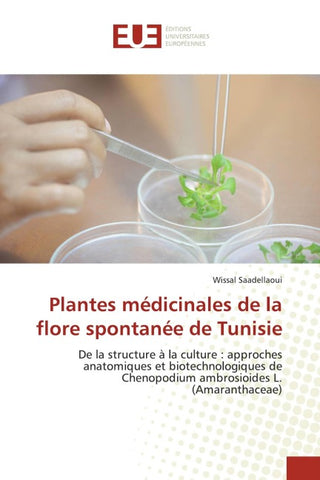 Plantes médicinales de la flore spontanée de Tunisie
