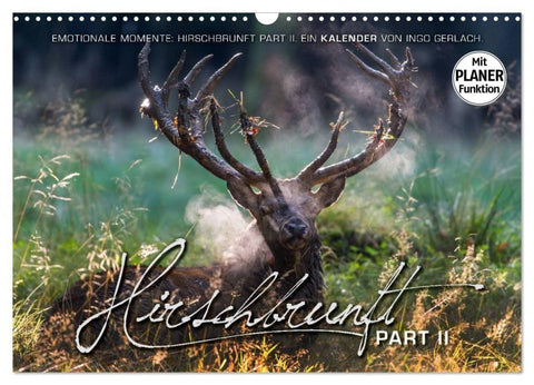 Emotionale Momente: Hirschbrunft. Part II. (Wandkalender 2027 DIN A3 quer), CALVENDO Monatskalender