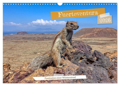 Fuerteventura - Faszination einer Wüsteninsel (Wandkalender 2026 DIN A3 quer), CALVENDO Monatskalender