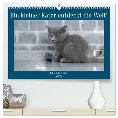 Ein kleiner Kater entdeckt die Welt! (hochwertiger Premium Wandkalender 2027 DIN A2 quer), Kunstdruck in Hochglanz