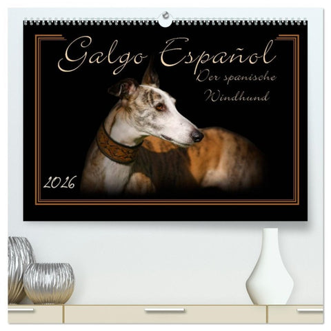 Galgo Español 2026- Der spanische Windhund (hochwertiger Premium Wandkalender 2026 DIN A2 quer), Kunstdruck in Hochglanz