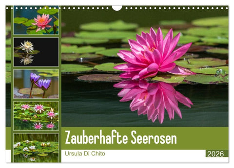 Zauberhafte Seerosen (Wandkalender 2026 DIN A3 quer), CALVENDO Monatskalender