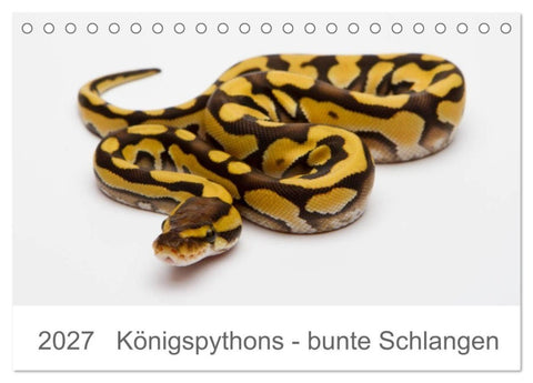 Königspythons - bunte Schlangen (Tischkalender 2027 DIN A5 quer), CALVENDO Monatskalender