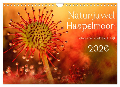 Naturjuwel Haspelmoor (Wandkalender 2026 DIN A4 quer), CALVENDO Monatskalender