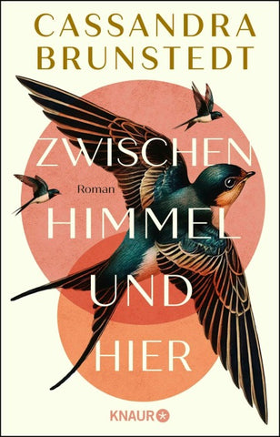 Zwischen Himmel und hier