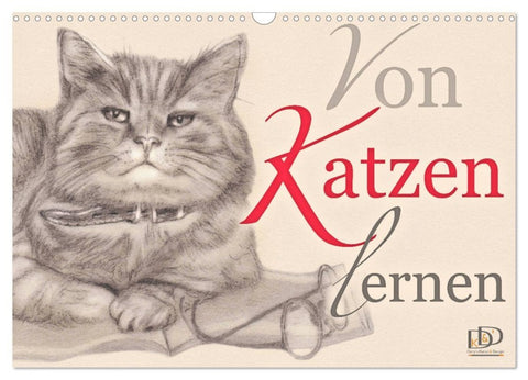 Von Katzen lernen (Wandkalender 2026 DIN A3 quer), CALVENDO Monatskalender