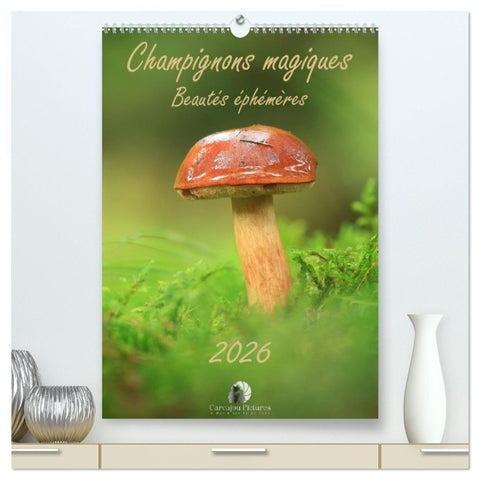 Champignons magiques - Beautés éphémères  (Calendrier mural 2026 DIN A2 horizontal) calendrier de bureau
