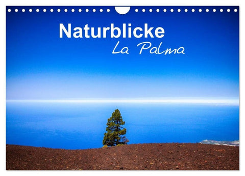 Naturblicke - La Palma (Wandkalender 2027 DIN A4 quer), CALVENDO Monatskalender