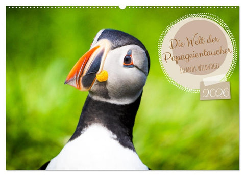 Die Welt der Papageientaucher - Islands Wildvögel (Wandkalender 2026 DIN A2 quer), CALVENDO Monatskalender