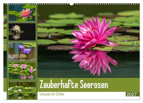 Zauberhafte Seerosen (Wandkalender 2027 DIN A2 quer), CALVENDO Monatskalender
