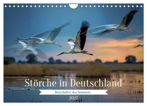 Störche in Deutschland (Wandkalender 2027 DIN A4 quer), CALVENDO Monatskalender
