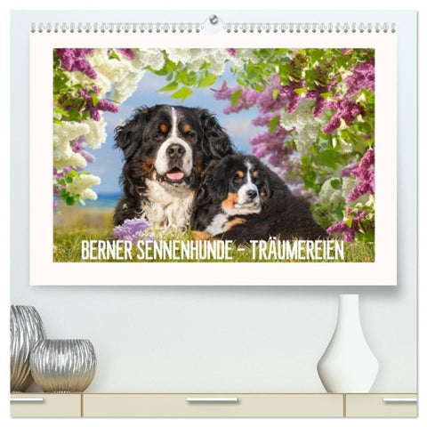 Berner Sennenhunde - Träumereien (hochwertiger Premium Wandkalender 2027 DIN A2 quer), Kunstdruck in Hochglanz