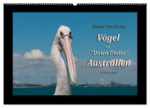Vögel von "Down Under" Australien (Wandkalender 2027 DIN A2 quer), CALVENDO Monatskalender